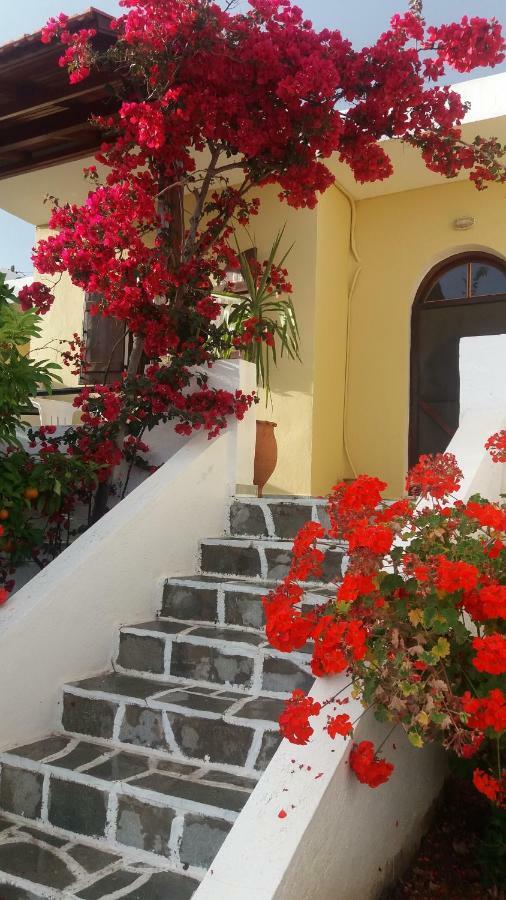 Elia Houses كوتْسوناري المظهر الخارجي الصورة